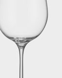 Orrefors x Björn Frantzén Champagne Glass 28cl 2-pack