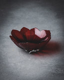 Frantzén Archive 17.