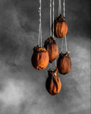 Fine Art Print – Hoshigaki