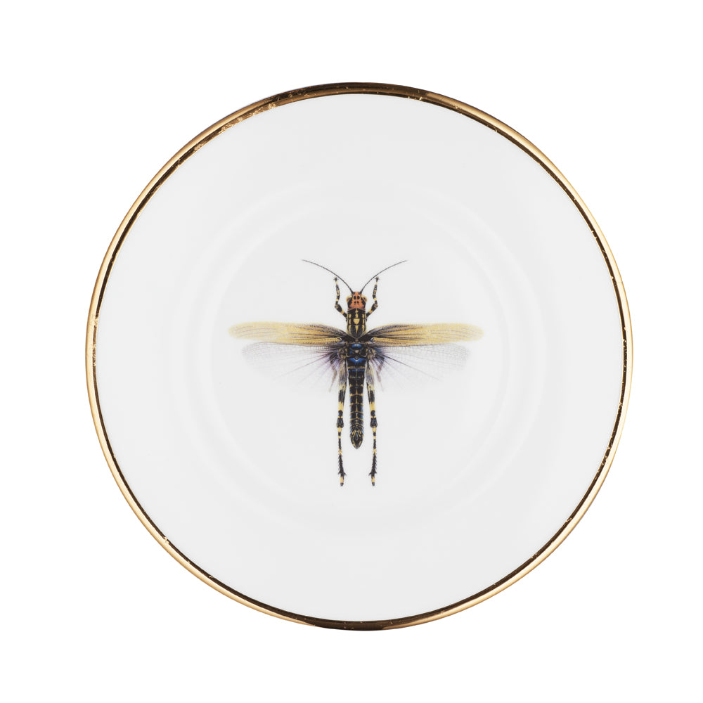 Brasserie Astoria x Melody Rose Plates