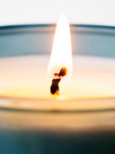 Frantzén Projects x Björk & Berries Scented Candle