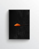 Fine Art Print – Trout Roe Spoon