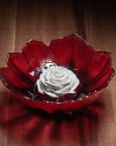 Frantzén Archive 17.