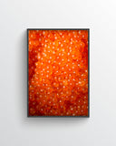 Fine Art Print – Trout Roe